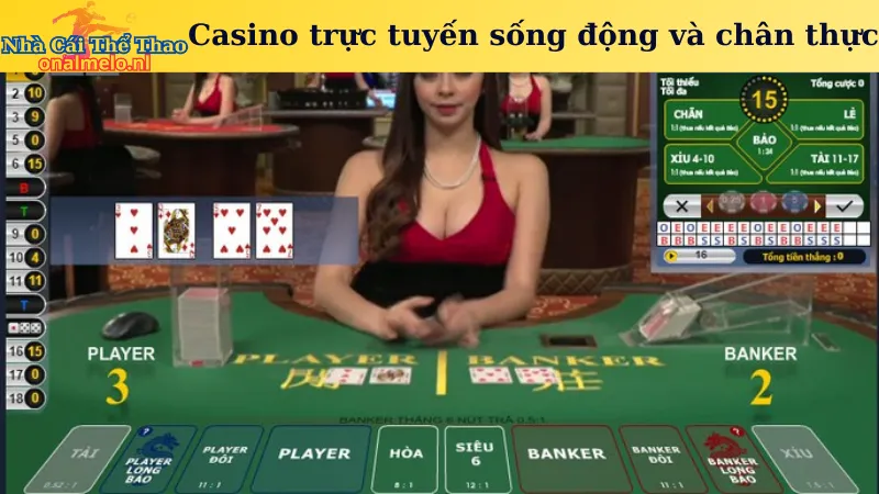 Casino trực tuyến sống động và chân thực