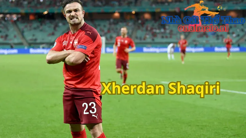 Tiểu sử của Xherdan Shaqiri