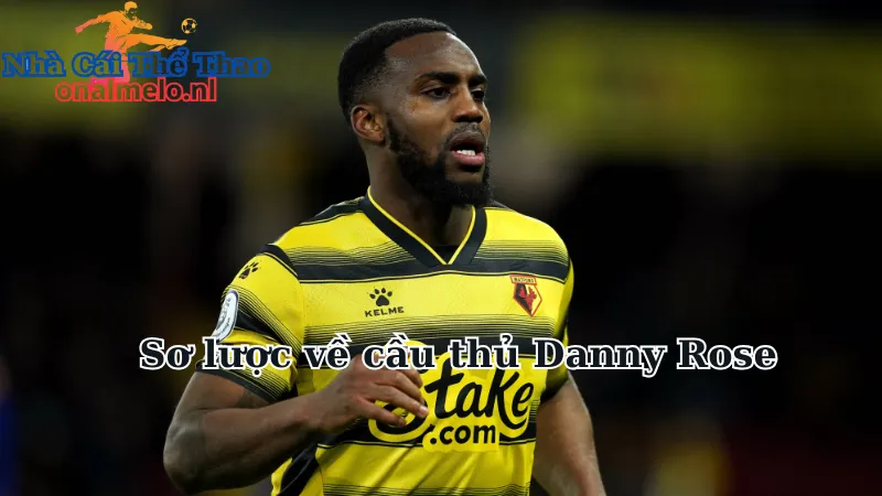 Sơ lược về cầu thủ Danny Rose